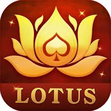 daily rummy apk download download